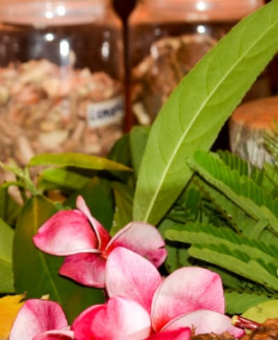 Bloom Holistic Wellness